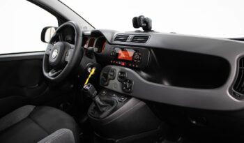 FIAT Panda 1.0 HYBRID CITY LIFE completo